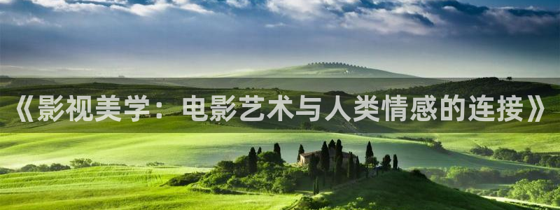 性69视频：《影视美学：电影艺术与人类情感的连接》