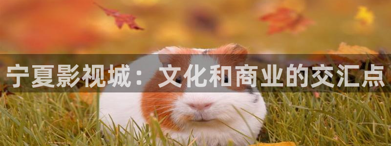 最新69视频：宁夏影视城：文化和商业的交汇点