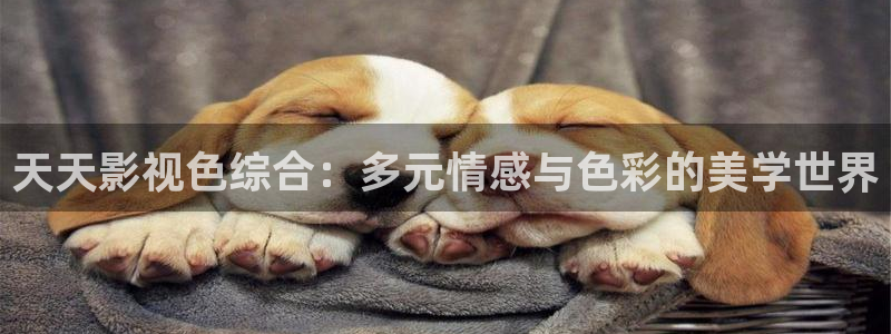 69视频黄：天天影视色综合：多元情感与色彩的美学世界
