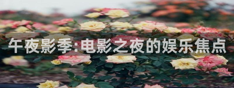 69视频在线永久地址